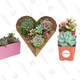 Succulent Gold Box | Amazon